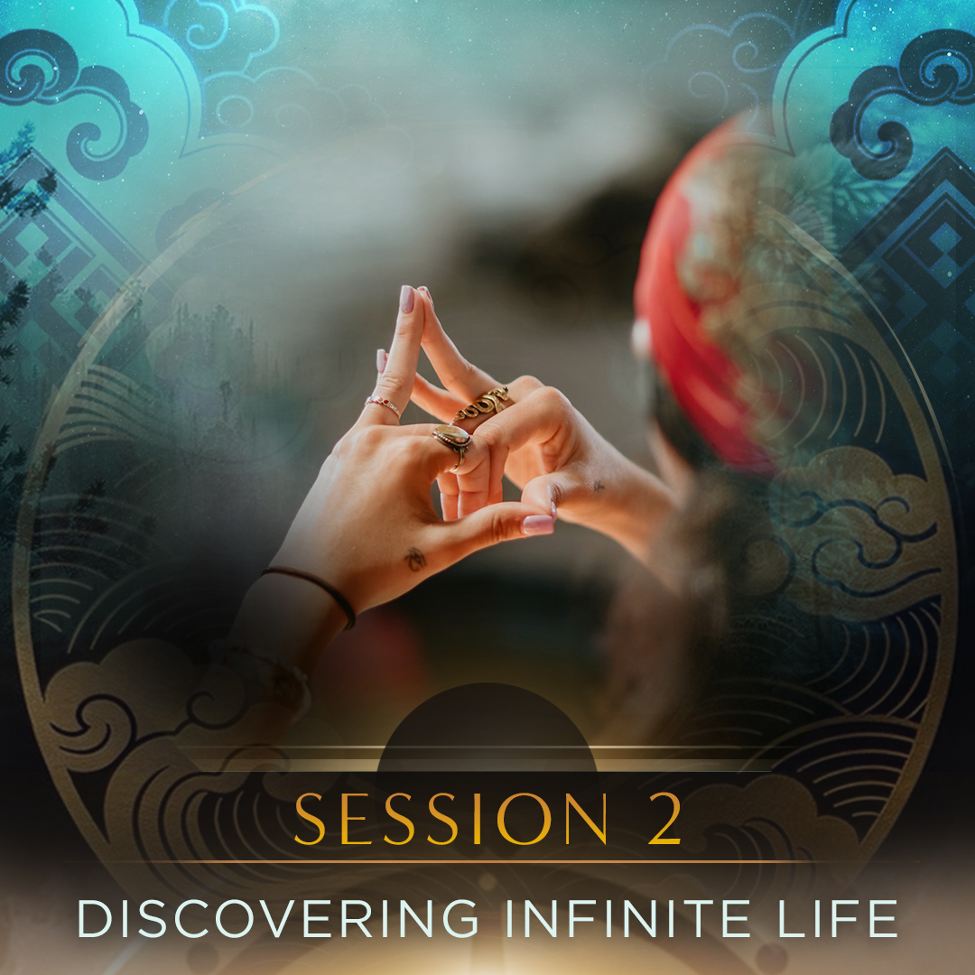 Session 2 · Discovering Infinite Life