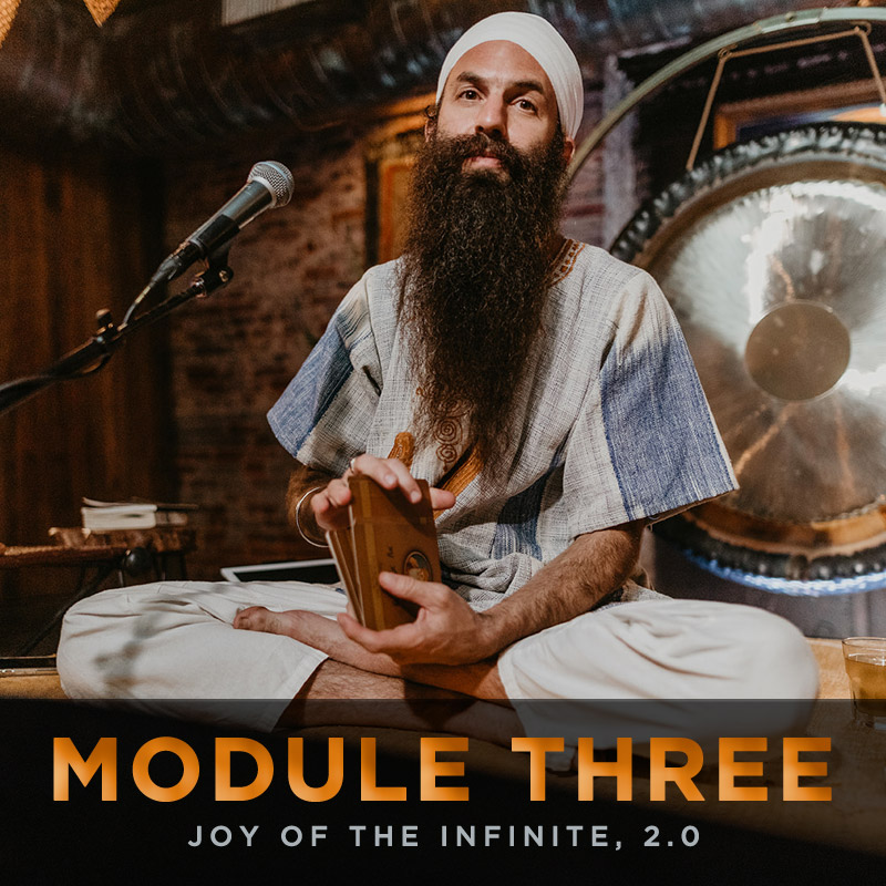 Module 3: Deathlessness Pt. 2 — Touch of the Infinite
