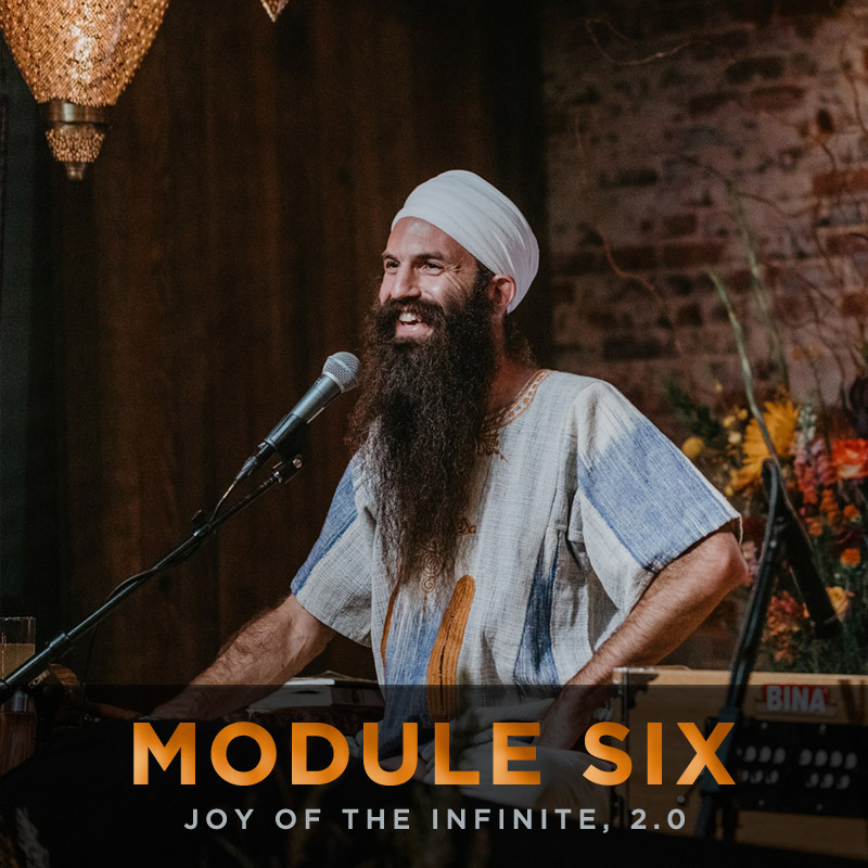 Module 6: Rebirth